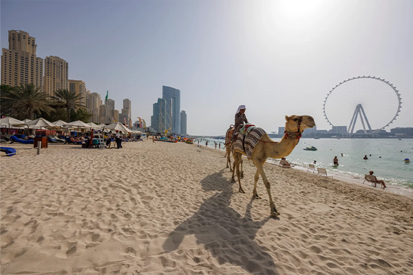 Which Dubai Beach Has the Best Views?