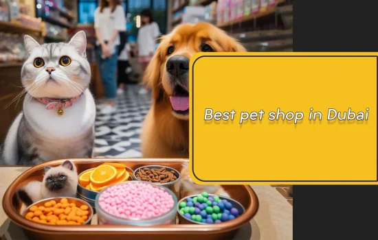 Best pet shop in Dubai