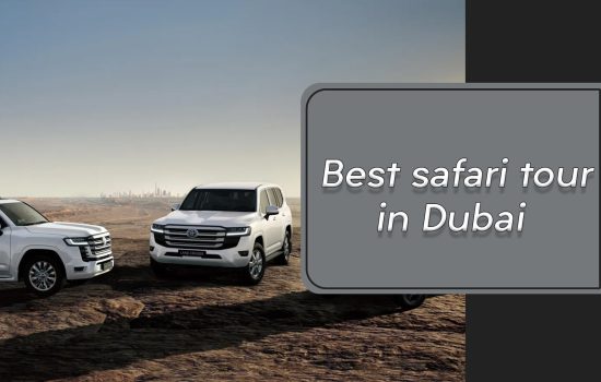 Best safari tour in Dubai